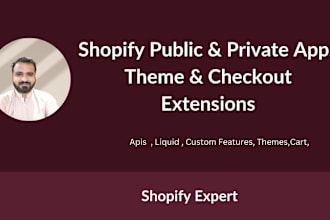 create professional shopify public and private plugins