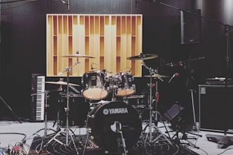 professionaly edit and mix your songs