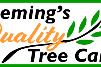 be your professional logo vector tracing expert