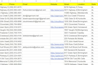 gather bulk b2b phone number leads