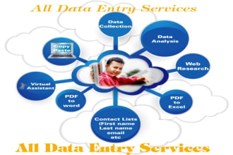 do data entry, copy paste, data mining and virtual assistant