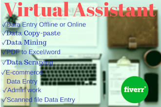 be your professional virtual assistant or business assistant