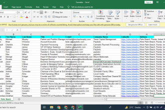 do fast accurate data entry, web scraping, lead generation