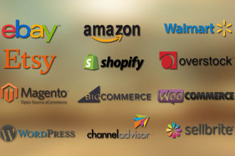 do bulk product listing on ebay, amazon, walmart via CSV excel