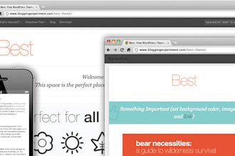 send You 55 EXCELLENT Wordpress Themes Bundled