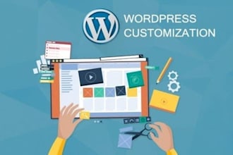 customize wordpress theme or plugin code