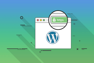 setup or troubleshoot SSL setup on a wordpress website