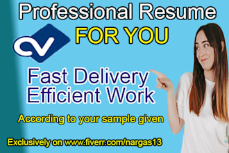 make professional resume for you
