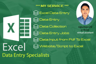 do excel data entry and data collection work