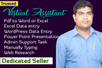 do excel data entry, wordpress data entry, pdf to excel, pdf to word