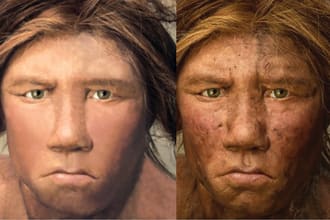 photoshop editing, retouching,  remove background, color correction