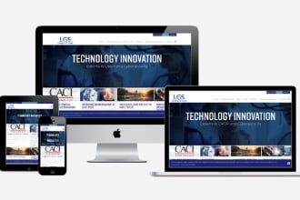 build responsive wordpress website design