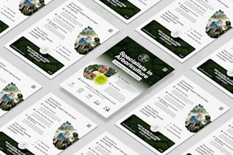 design a premium flyer for your business