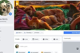 share video or link into my facebook USA group marketing