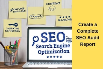 do professional SEO audit and analysis
