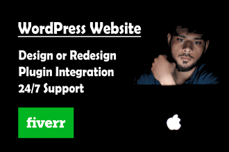 create a pro wordpress website design