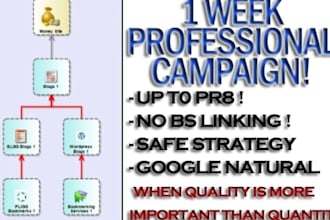 give you a 1 week professional SEO campaign to optimize your Google ranking