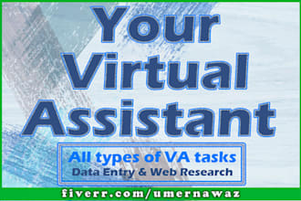 be your professional virtual assistant