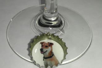 send you a set of bottle cap wine charms or magnets