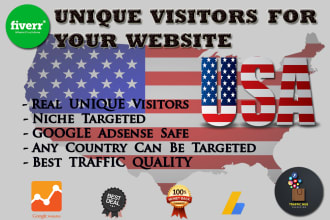bring niche targeted unique and real USA visitors