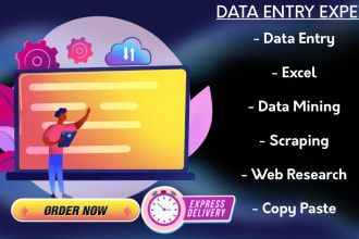 be your dependable virtual assistant data entry expert
