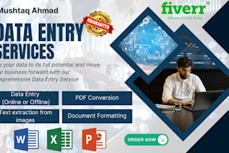 provide professional data entry, text extraction, and document formatting