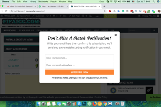 integrate email optin form on your wordpress website, setup newsletter system