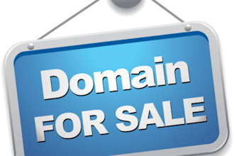 teach you How to Flip Domains