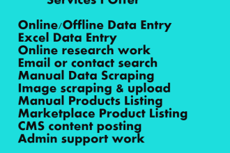 be your virtual assistant for data entry, web research