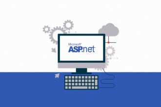 fix and develop angular, asp net mvc, and asp net core apps
