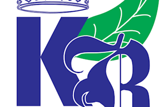 design 1 wonderful and professional logo