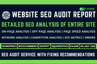 do website SEO audit manually and detail report with instructions