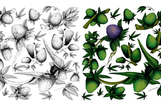 draw botanical herb cannabis artwork in hand drawn ink style