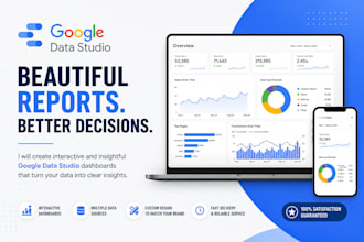 create professional looker studio dashboards and reports