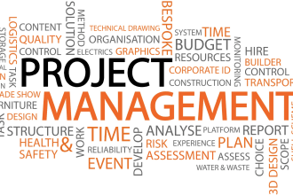 be your business analyst