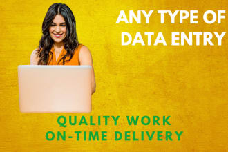 do perfect data entry, copy paste, excel data entry, typing