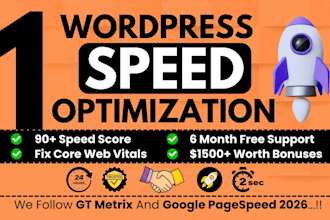 do wordpress speed optimization for google pagespeed insight