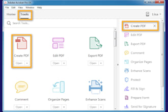 create a professional PDF document