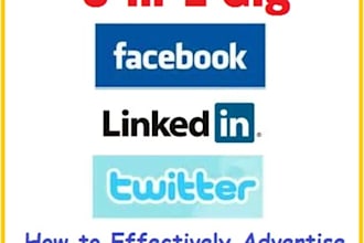 give you a set of comprehensive guide on how to promote your business on different social network sites like Facebook, LinkedIn, and Twitter