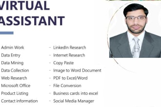be virtual assistant for microsoft excel and data entry jobs