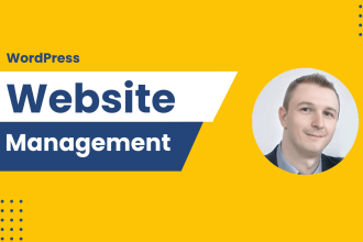 provide maintenance and support for your wordpress website