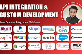do API integration and custom development