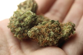 write cbd content for you