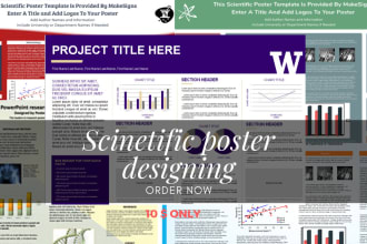 design professional research presentations educational scientific poster for you