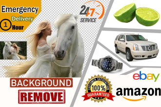 do professional editing and background removal of pictures