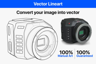draw a detailed vector line art of any diagram, product