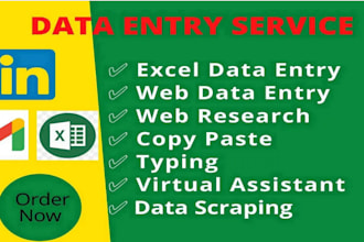 do data entry in excel, convert pdf, data mining, extraction and copy paste