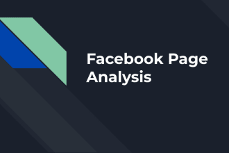 create a facebook performance analysis report