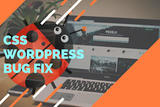 do quick css fix or php error fix