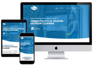 do pressure washing, christmas lights or lawn care website in wordpress or wix